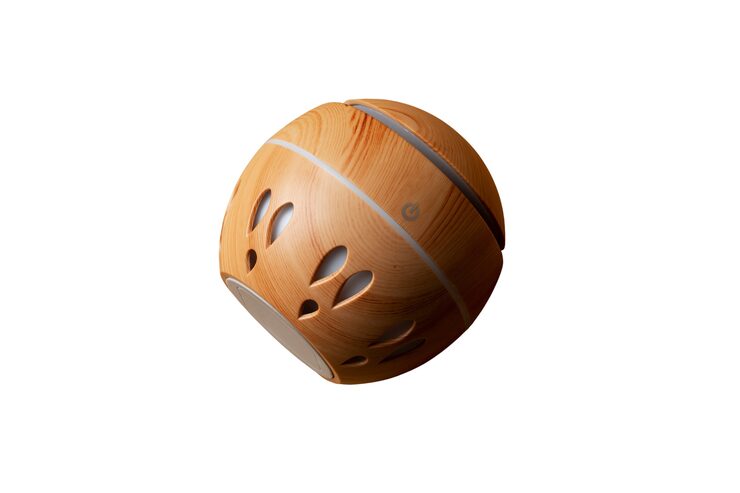 Cricket helmet side profile